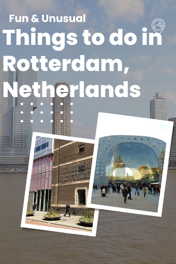 Fun & Unusual Things to Do in Rotterdam, Netherlands
