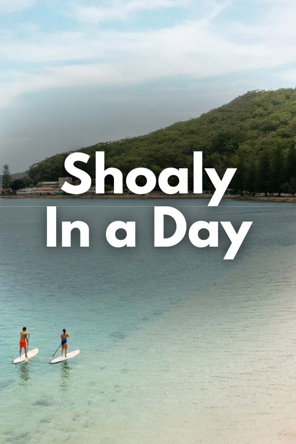 Shoaly in a Day 