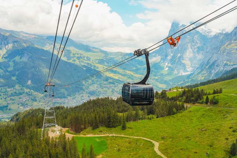 Guided Day Trip to Jungfraujoch with Train Ride