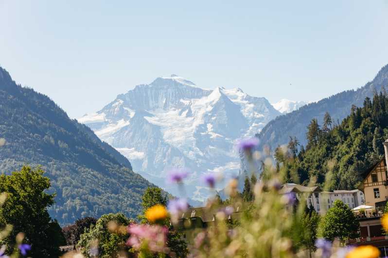 Guided Day Trip to Jungfraujoch with Train Ride — photo 2