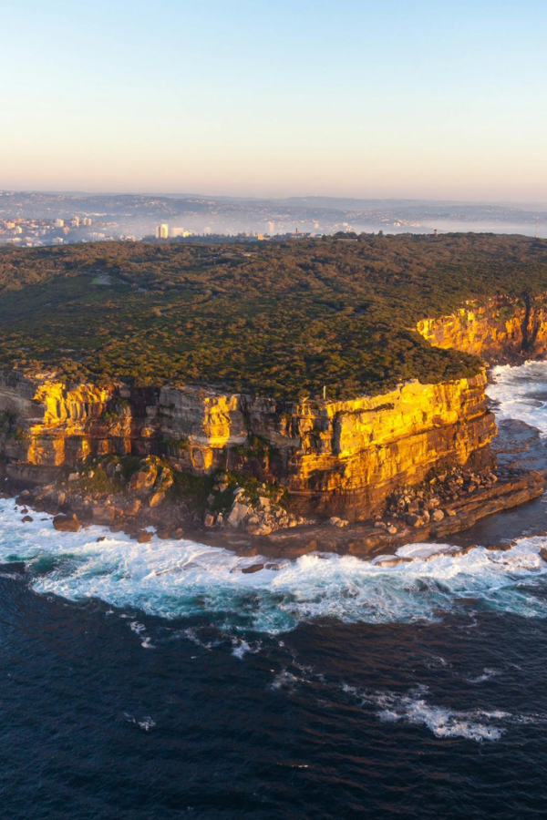 A Day Trip to Manly — photo 4