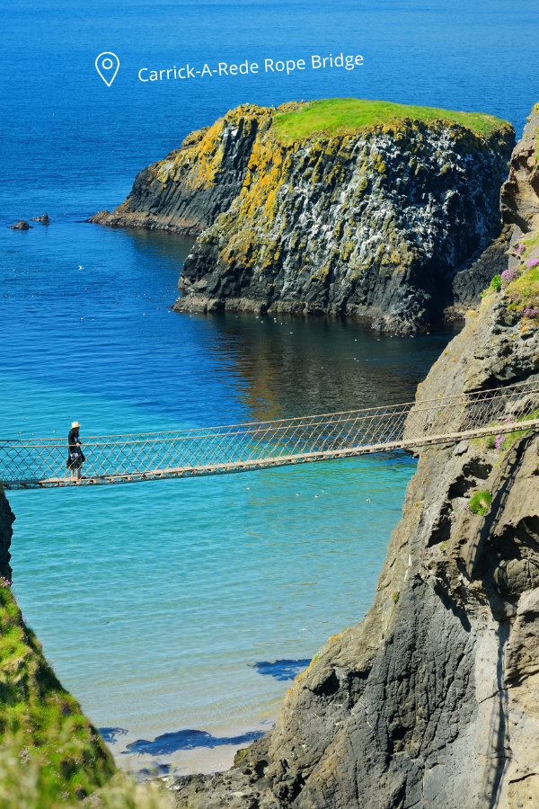 Giants Causeway, Dunluce castle, Dark Hedges tour - Ireland - Lead by local — photo 2