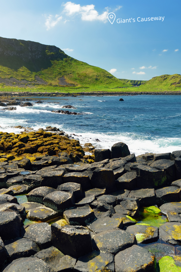 Giants Causeway, Dunluce castle, Dark Hedges tour - Ireland - Lead by local — photo 3