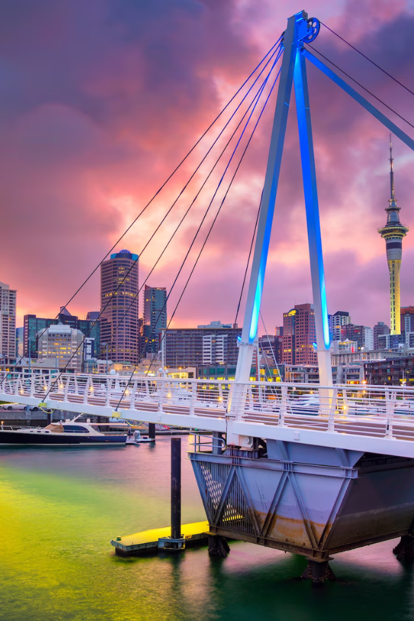 Auckland In A Day — photo 7