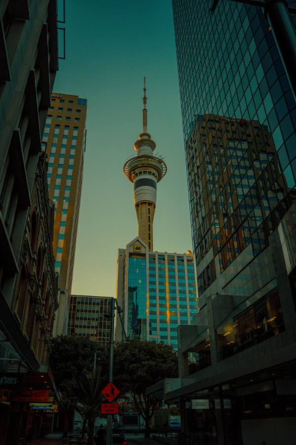 Auckland In A Day — photo 3