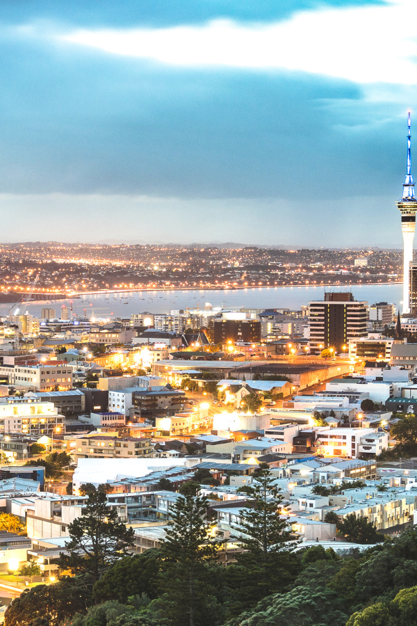 Auckland In A Day — photo 4