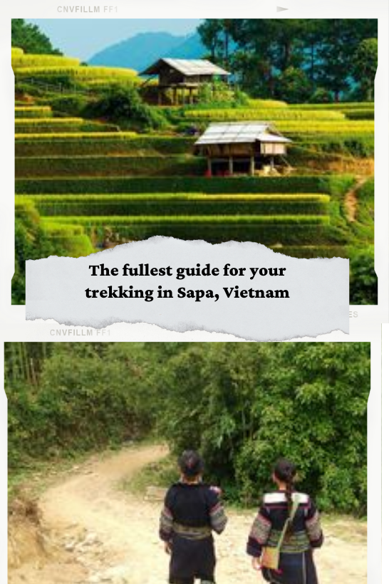 Trekking in Sapa, Viet Nam — photo 4