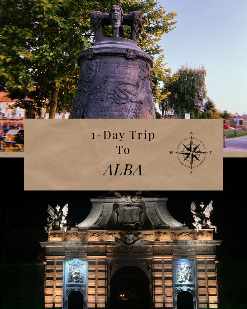 1-Day Trip to Alba 