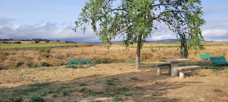 Almuerzo y Descanso en el Centro