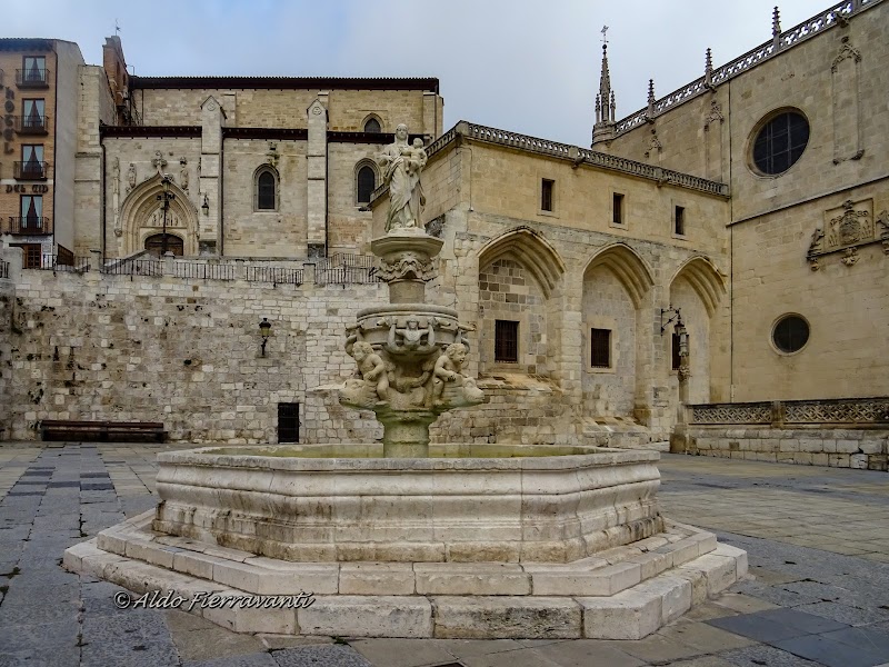 Tour Guiado por el Casco Histórico