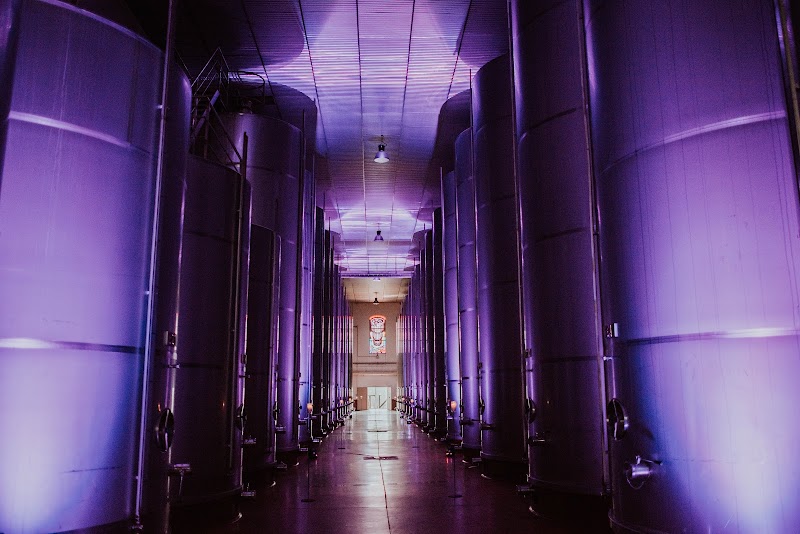 Bodegas Ontañón Tasting Room Bisita