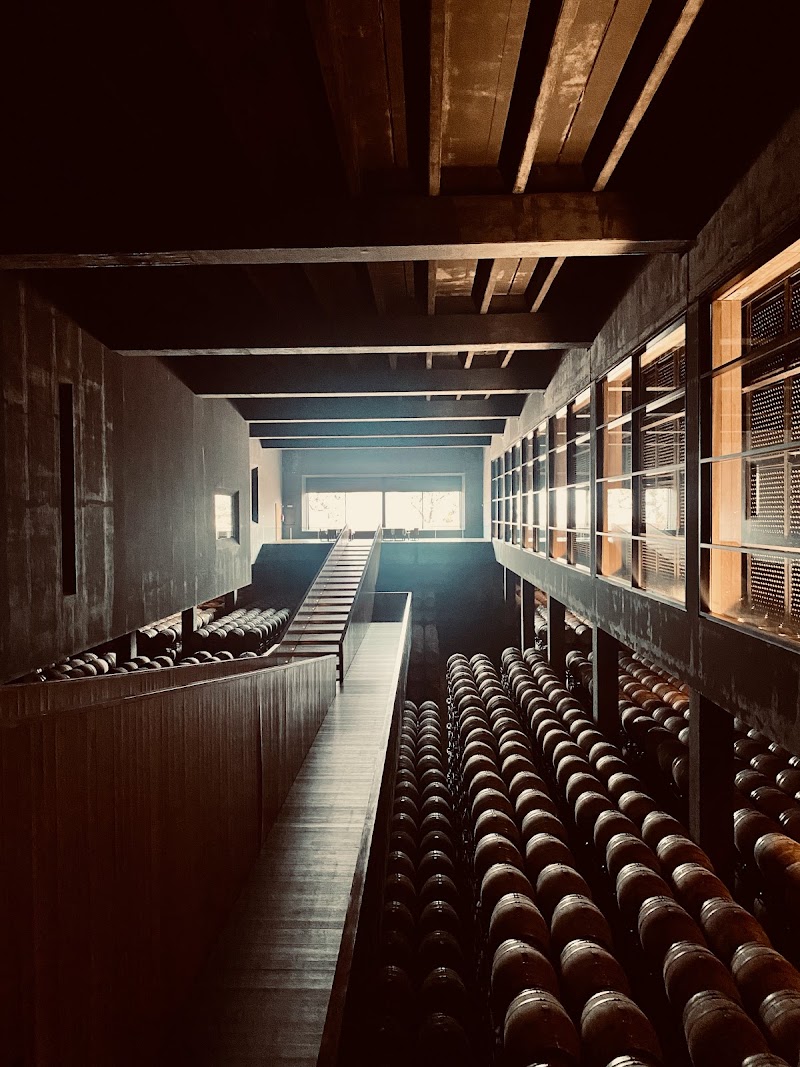 Visite et Dégustation aux Bodegas Campo Viejo