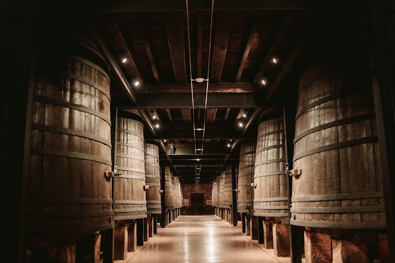 Visite et Dégustation aux Bodegas Franco-Españolas
