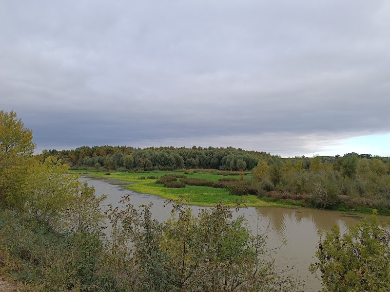 Reserva Natural de los Sotos del Ebro en Alfaro
