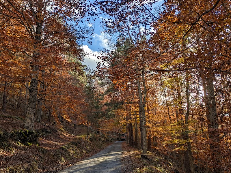 Parque Natural Sierra de Cebollera
