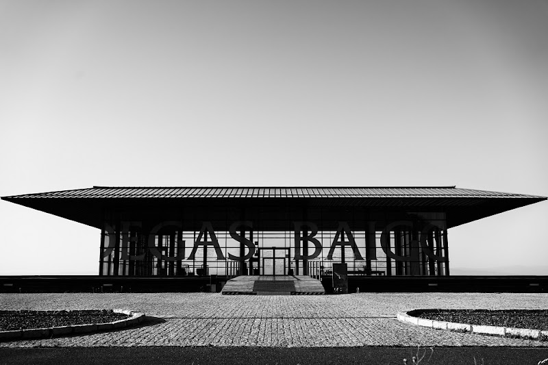 Bodegas Baigorri (Rioja Alavesa)