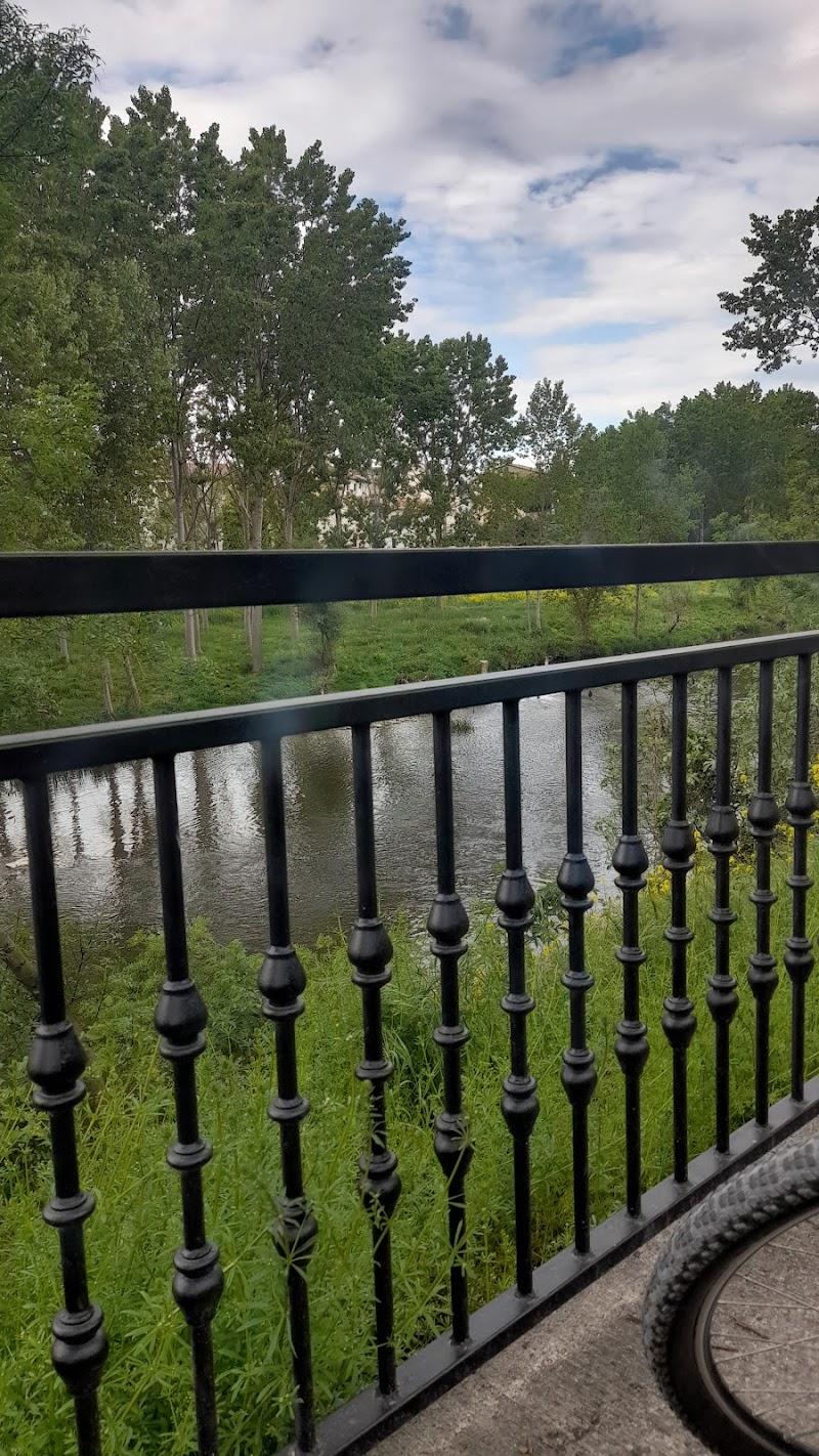 Paseo Fluvial del arga