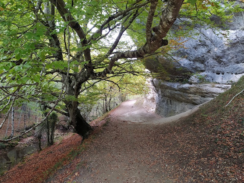 Ruta senderista del Desfiladero del Río Ayuda