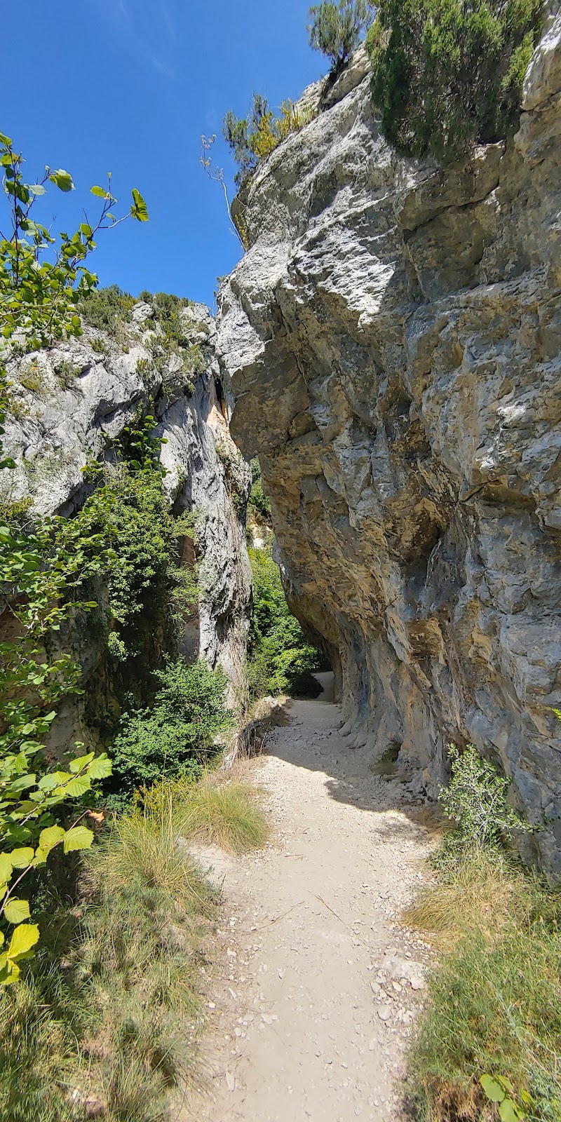 Desfiladero del Río Purón