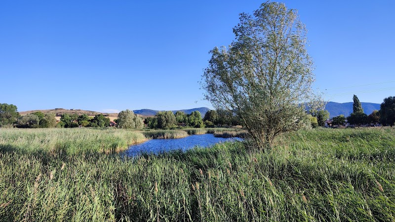 Ruta por la Laguna de Bayas