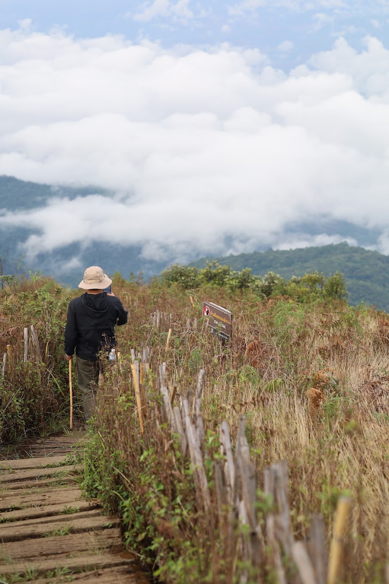 Kew Mae Pan nature trail