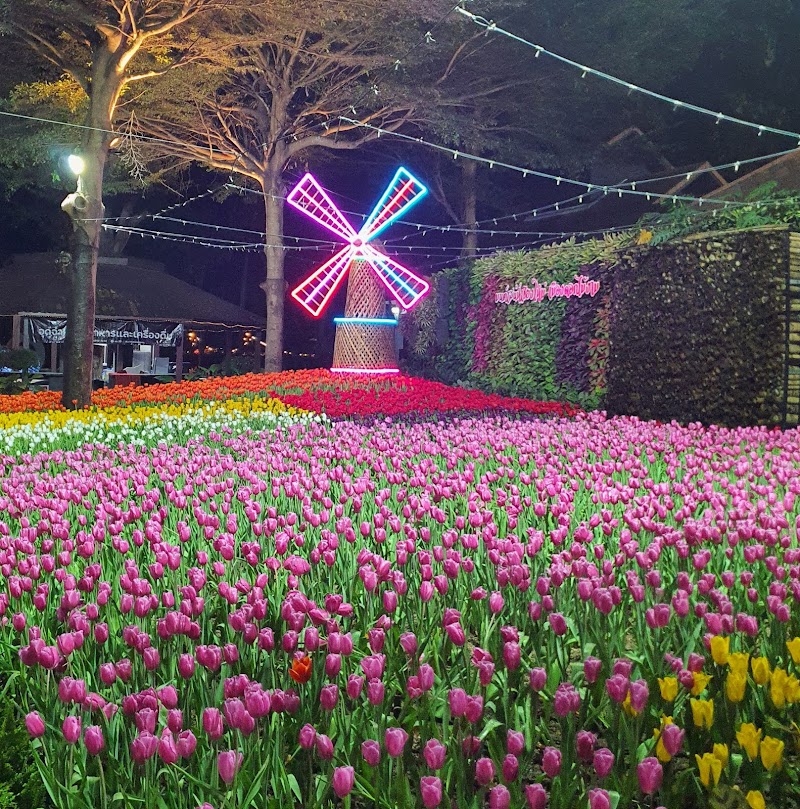 Festival de Invierno de Tailandia