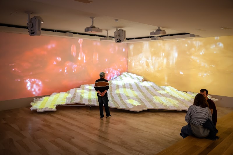 Visita a VINSEUM Museu de les Cultures del Vi de Catalunya