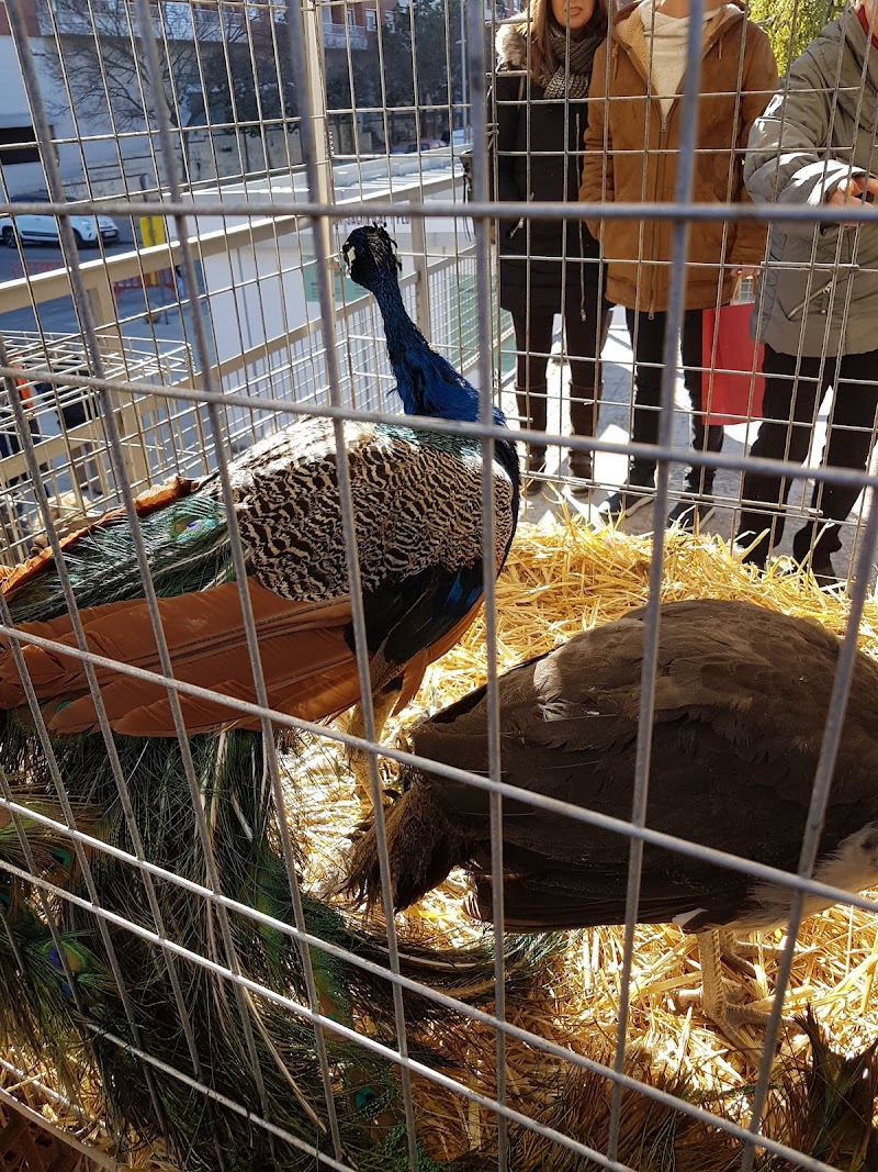 Senderismo en Parque de San Julian