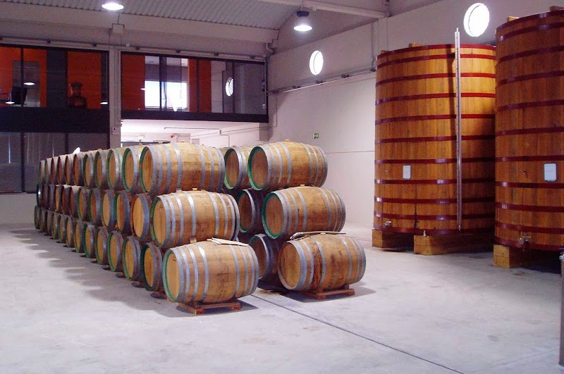 Visita a Bodega Mascaro