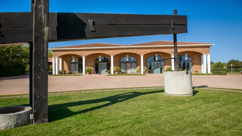 Visita a Los Monjes (Bodegas Torres)