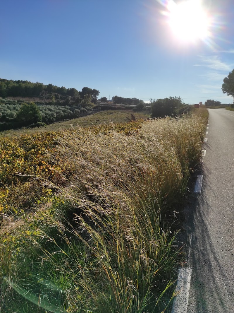 Paseo por el Parque del Foix