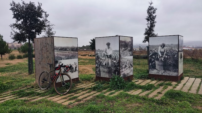 Senderismo en Generacions - El Cami del Vi - Winewalk
