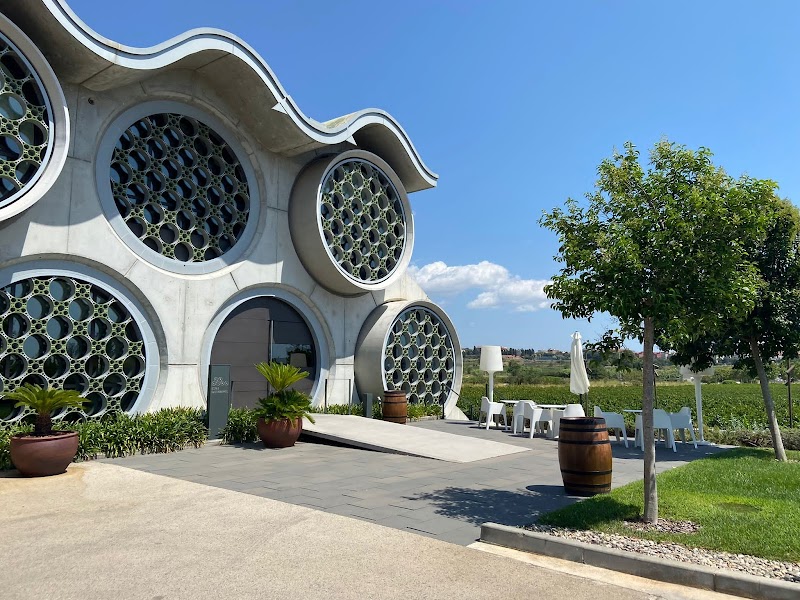 Visita a Cava Mastinell