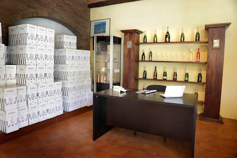 Visita a Cavas Alsinac