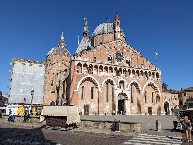 Visita a la Basilica de San Antonio