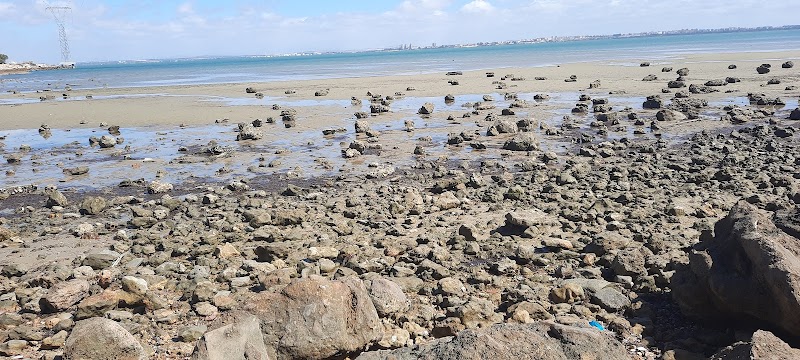 Sendero (C. Prado del Rey, 17A)