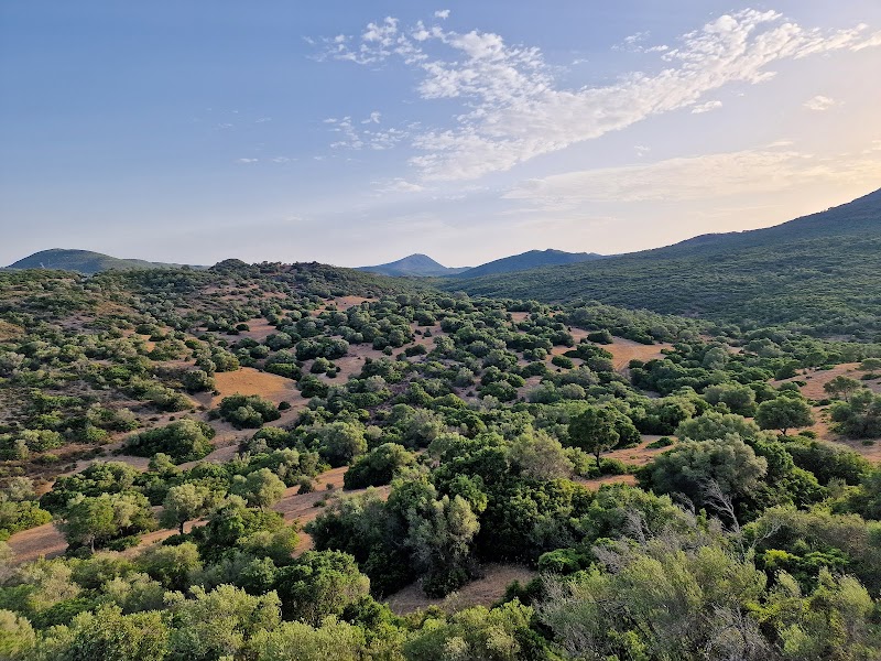Parco Naturale Los Alcornocales