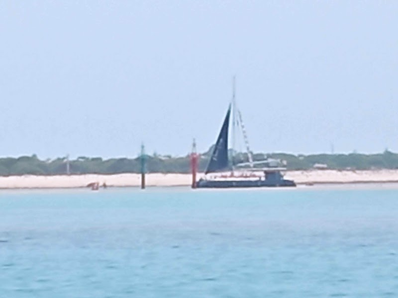 ALBARCO.COM (Sancti-Petri)