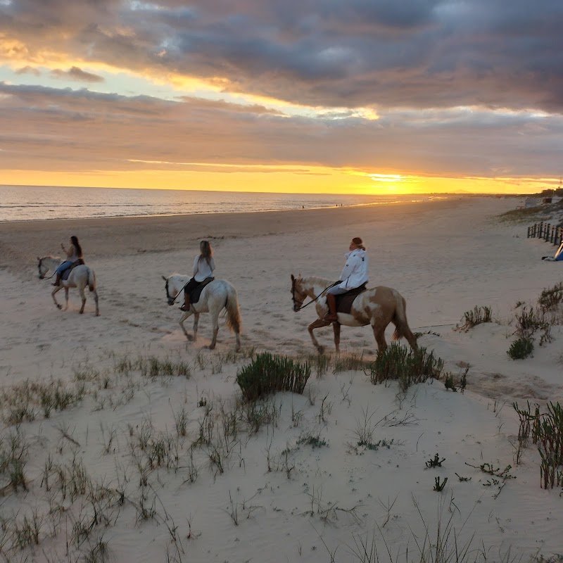 Initiation à l'équitation au Centro Ecuestre Las Marias