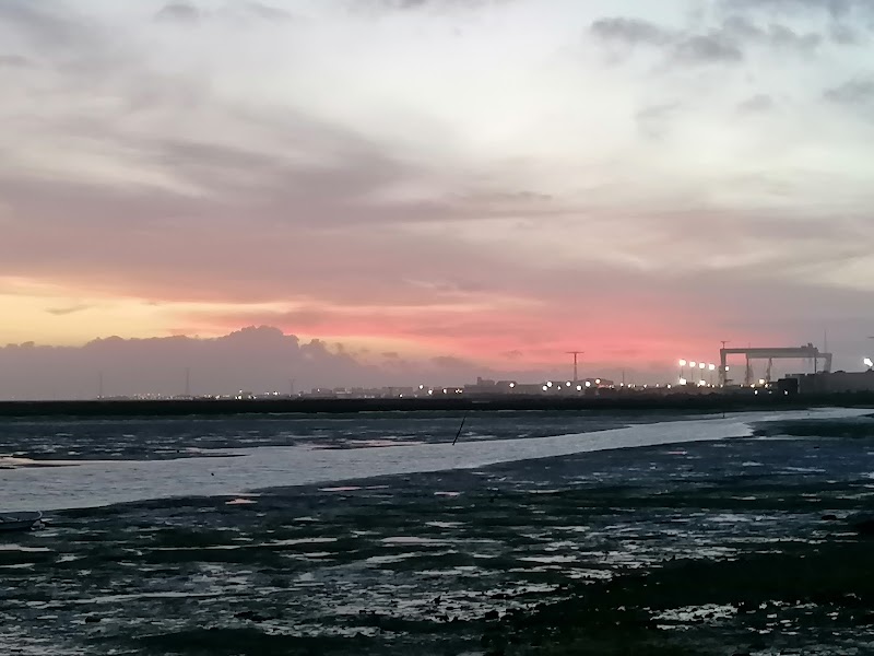 Visite de Puerto Real et promenade sur le port