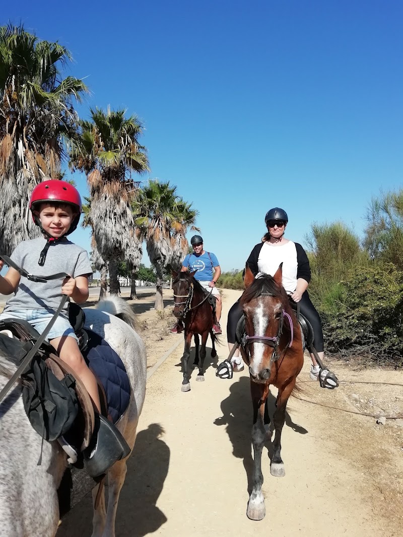 Balade à cheval avec Senderalia Ecuestre