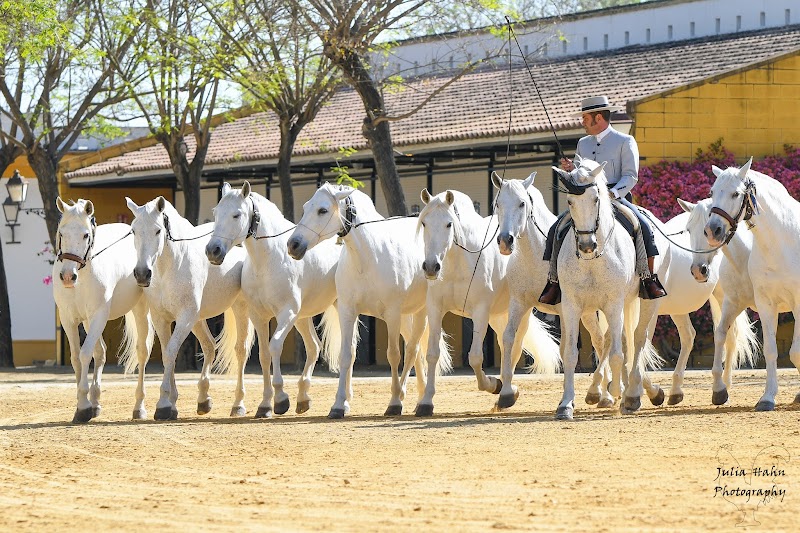 Excursion à Jerez de la Frontera pour la Fête des Vendanges