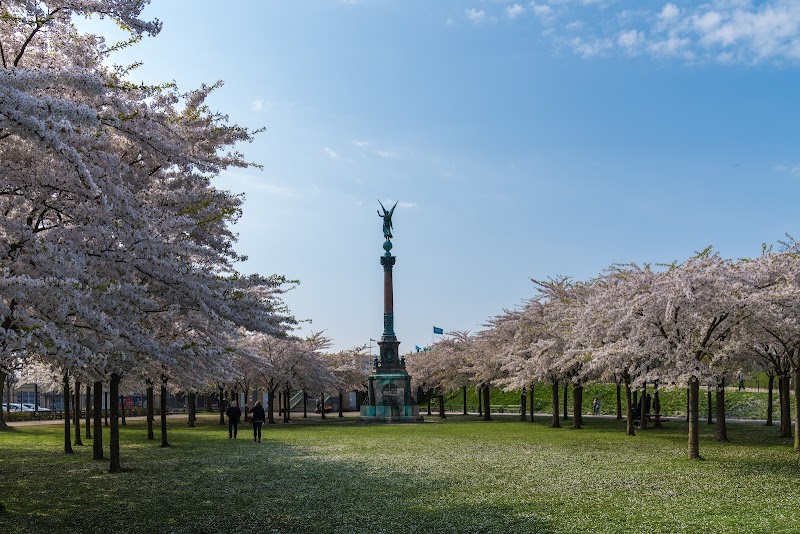 Copenhagen Sakura Festival