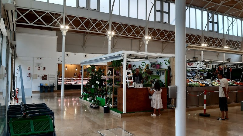 Visita al mercado central de Vinaros
