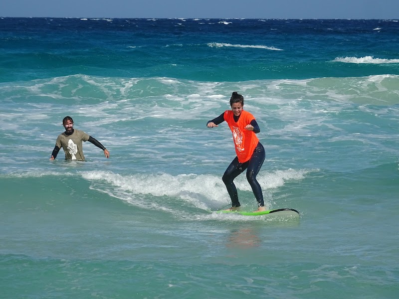 Surf en The Wild Surf Fuerteventura