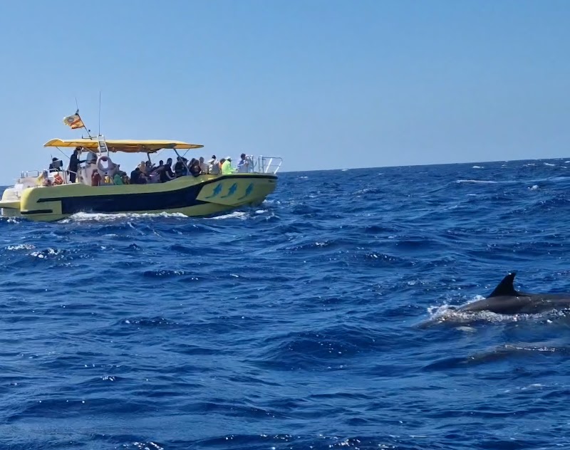 Paseo en barco con Fuerteventura full experience