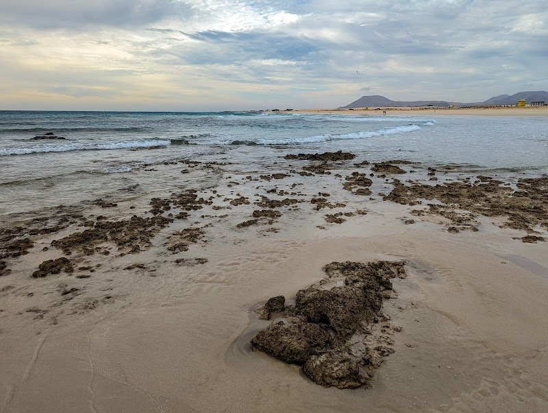 Beaches of Corralejo