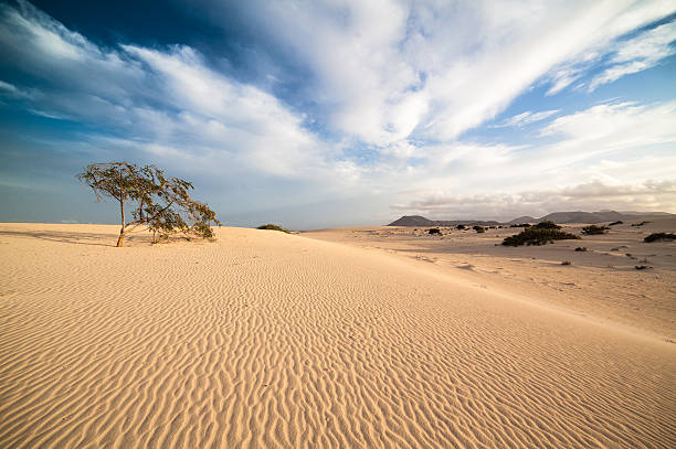 Passeggiata tra le dune di Corralejo