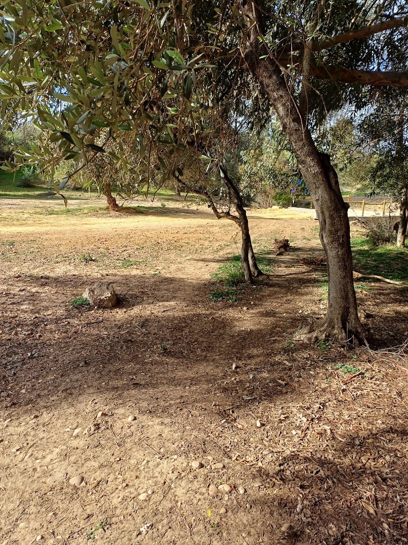 Sendero alrededor Hipodromo