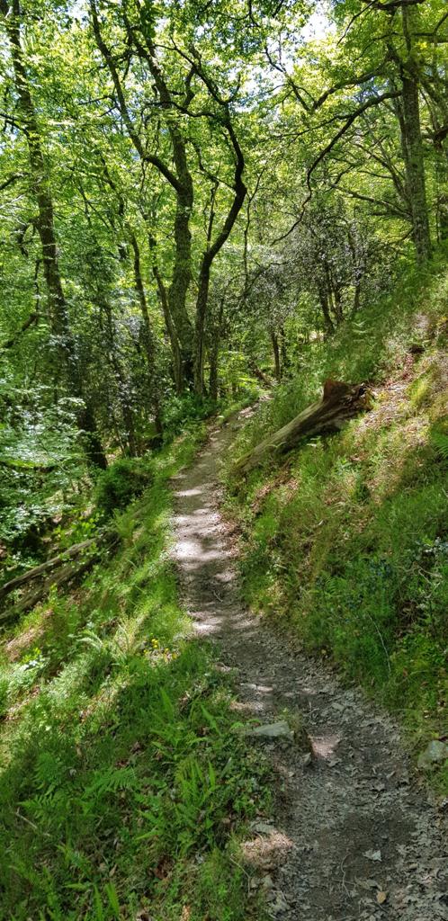 Ruta de Los Puentes Saja-Besaya